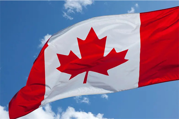 加拿大移民从申请材料到注意事项必备知识