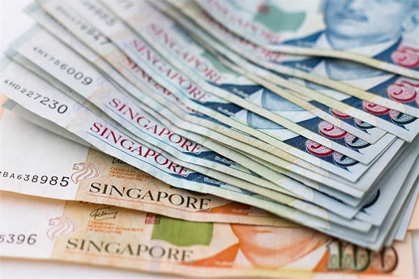 新加坡移民从申请到定居需要多少钱