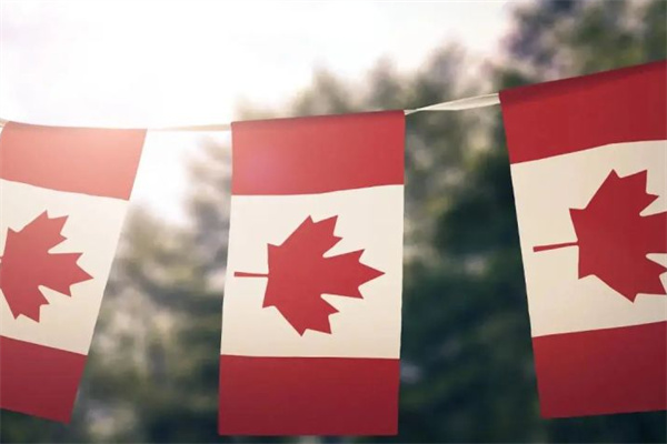 哪些人办理加拿大移民签证容易被拒