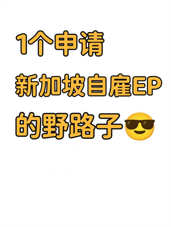 一个申请新加坡自雇EP的野路子...